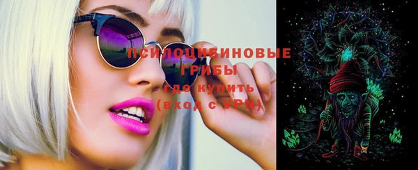 крисы Снежинск