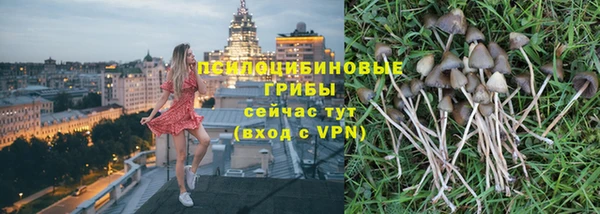 МДПВ Армянск